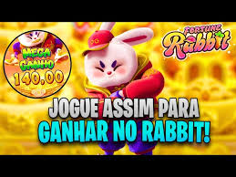 sonic rabbit